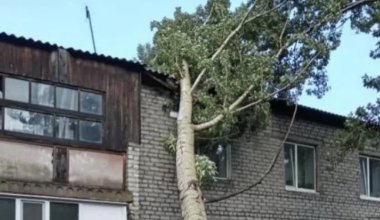 В Аксу женщину насмерть пронзило веткой во время урагана: как помогли ее семье
