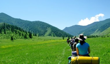 Казахстан потерял более 1 млрд тенге: озвучена причина