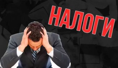 "Новый Налоговый кодекс – путь к банкротству бизнеса": экономист обратился к Токаеву