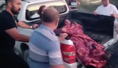 Лев вырвался из клетки и напал на человека в Анталье: хищника ищут с дронами
