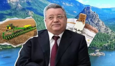 Глава МСХ не смог ответить, сколько гектаров земли принадлежит Кулагину