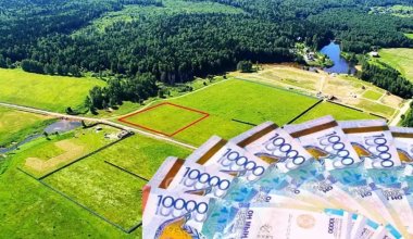 Земельные участки на 100 млн тенге вернули государству в Жетысу