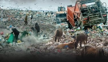 Более 2400 стихийных свалок нашли в Казахстане