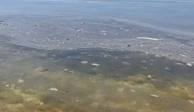 "Будто сбросили отходы": масляные пятна и мусор заметили в Каспийском море