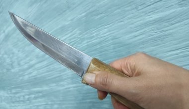 Жительница Рудного воткнула нож в живот девочки