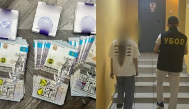 Иностранка пыталась продать почку в Казахстане