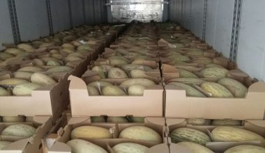 В России забраковали казахстанские дыни