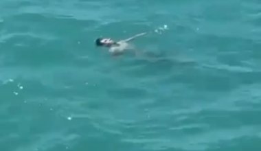 Трагедия на Алаколе попала на видео