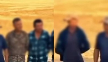 Более 100 иностранцев незаконно добывали “ферулу” в Туркестанской области
