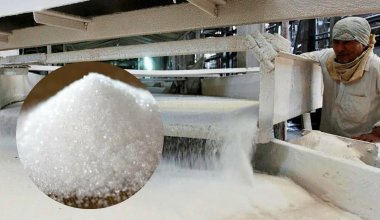 Приход сахарного гиганта из ОАЭ подтвердило правительство Казахстана