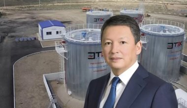 Тимур Кулибаев лишился дивидендов