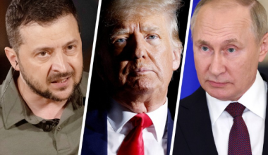 Трамп начал готовить встречу Путина и Зеленского