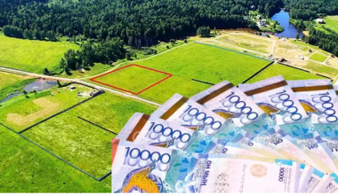 Почти 3,5 тысячи га сельхозземель вернули государству в ЗКО