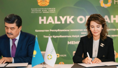 Миллионы и миллиарды на зелёное будущее: проект «Halyk орманы»