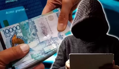 Казахстанец хотел купить место в нацкомпании и землю за 7 млн тенге