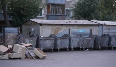 Казахстанцев штрафуют за выброс мебели и стройматериалов
