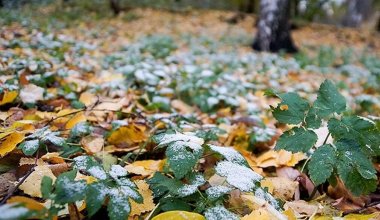 Синоптики рассказали, в каких регионах Казахстана ухудшится погода