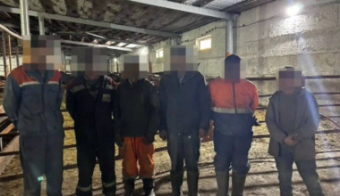 20 нелегальных трудовых мигрантов задержали в Караганде