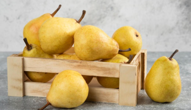 Россельхознадзор заявил о «серых схемах» ввоза фруктов из ЕС через Казахстан