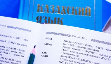 "Русских заставляют учить казахский": жительница Петропавловска заявила о национализме