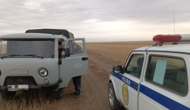 В Акмолинской области рабочий погиб при лесозаготовке