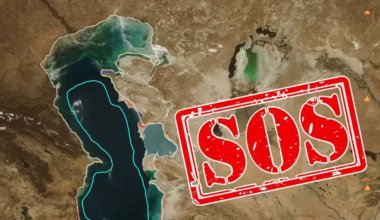 Специалисты приняли срочные меры из-за критического обмеления Каспия
