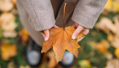 Какая погода ожидается 3 ноября в Казахстане