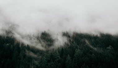 Снег, туман и сильный ветер: синоптики предупредили 10 регионов Казахстана