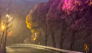 Снегопад пришёл и в Алматы