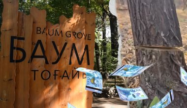 Лес раздора: почему алматинцы спорят из-за благоустройства рощи Баума