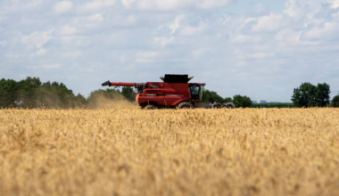 Китай начал ограниченные закупки американской сельхозпродукции