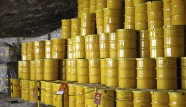 Еще одну нацкомпанию планируют создать в Казахстане?