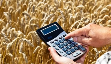 Токаев поручил активнее привлекать инвесторов в сельскохозяйственную отрасль