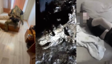 В области Улытау задержали группу скотокрадов