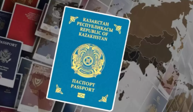 Сколько этнических казахов вернулось на родину в 2025 году