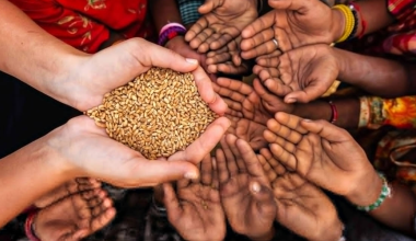 ООН предупредила о росте мирового голода и нехватке ресурсов