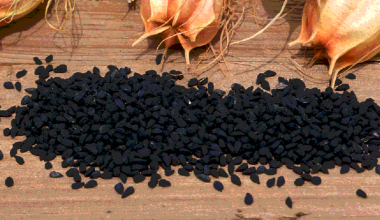 Учёные обнаружили эффективное средство против ожирения