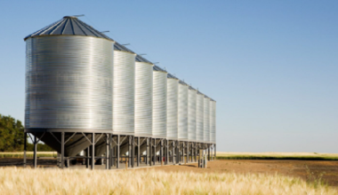 Работница элеватора упала в зернохранилище и погибла в СКО