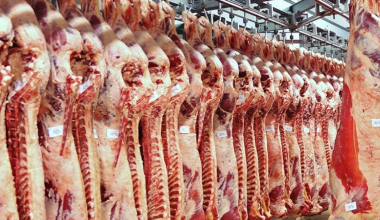 В Казахстане предложили отменить запрет на экспорт мяса