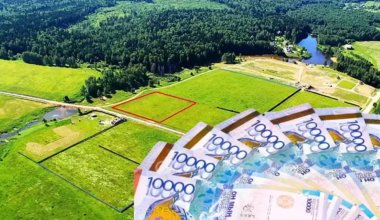 Передачу земельного участка китайцам прокомментировал аким Алматинской области