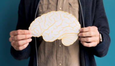 Учёные: мозг остаётся «подростковым» до 32 лет