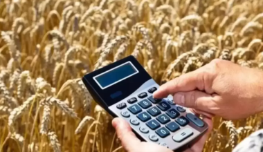 Еще 7 млрд тенге потратит правительство Казахстана на поддержку экспорта зерна