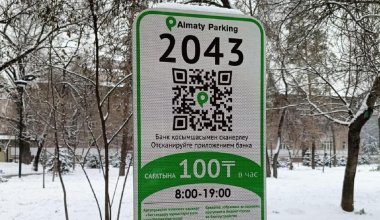 Власти Алматы откроют ещё больше платных парковок, несмотря на сопротивление активистов