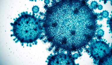 Инфекционисты: птичий грипп может быть опаснее COVID-19