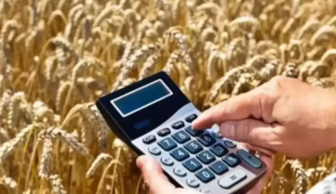 Казахстан увеличил экспорт зерна нового урожая: какие страны покупают