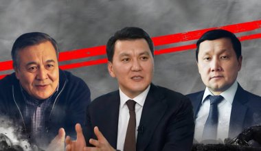 "Политика здравого смысла"? Что ограничит "красная линия" госсоветника Ерлана Карина