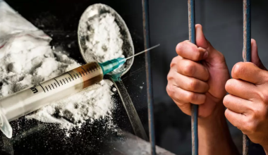 Возвращены миллиарды: крупные наркосети ликвидировали в Казахстане