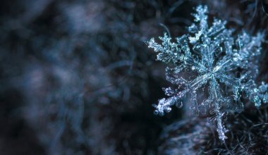 Сильный снег и морозы надвигаются на Казахстан