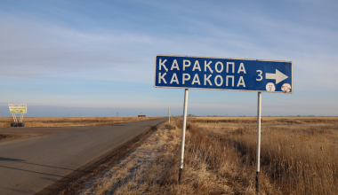 Как акиматы и Beeline меняют жизнь в селах