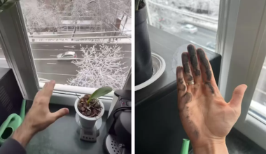 «Чёрная сажа»: в соцсетях показали, каким воздухом дышат жители Алматы